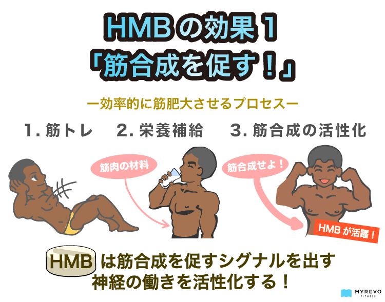 HMBの効果の解説図