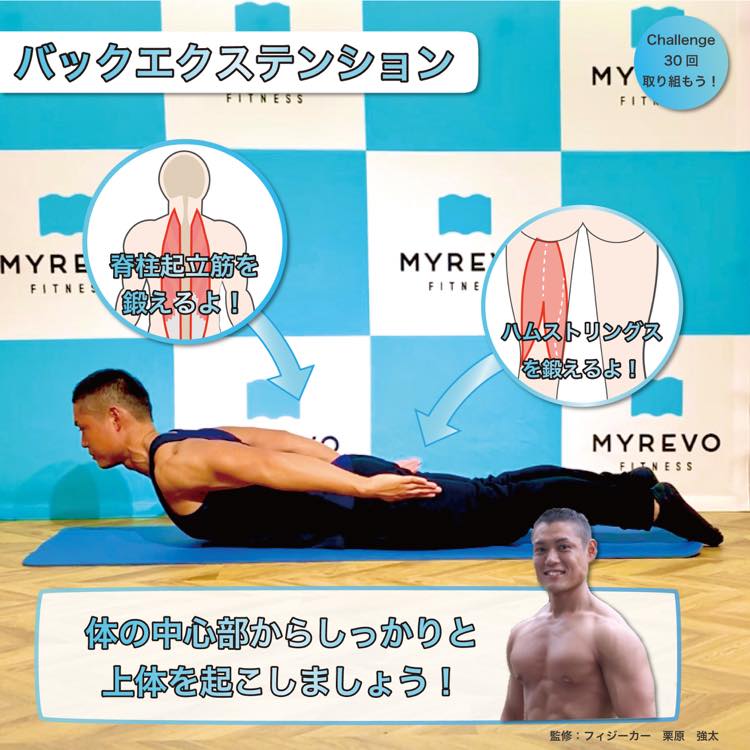 僧帽筋の筋トレ 鍛え方10選 肩こりまで解消する効果的なトレーニング Myrevo Fitness