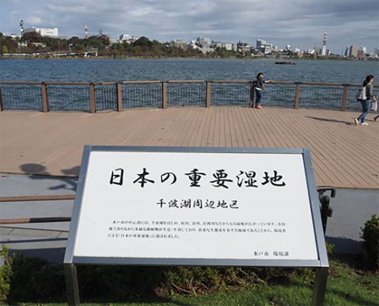 千波湖の写真